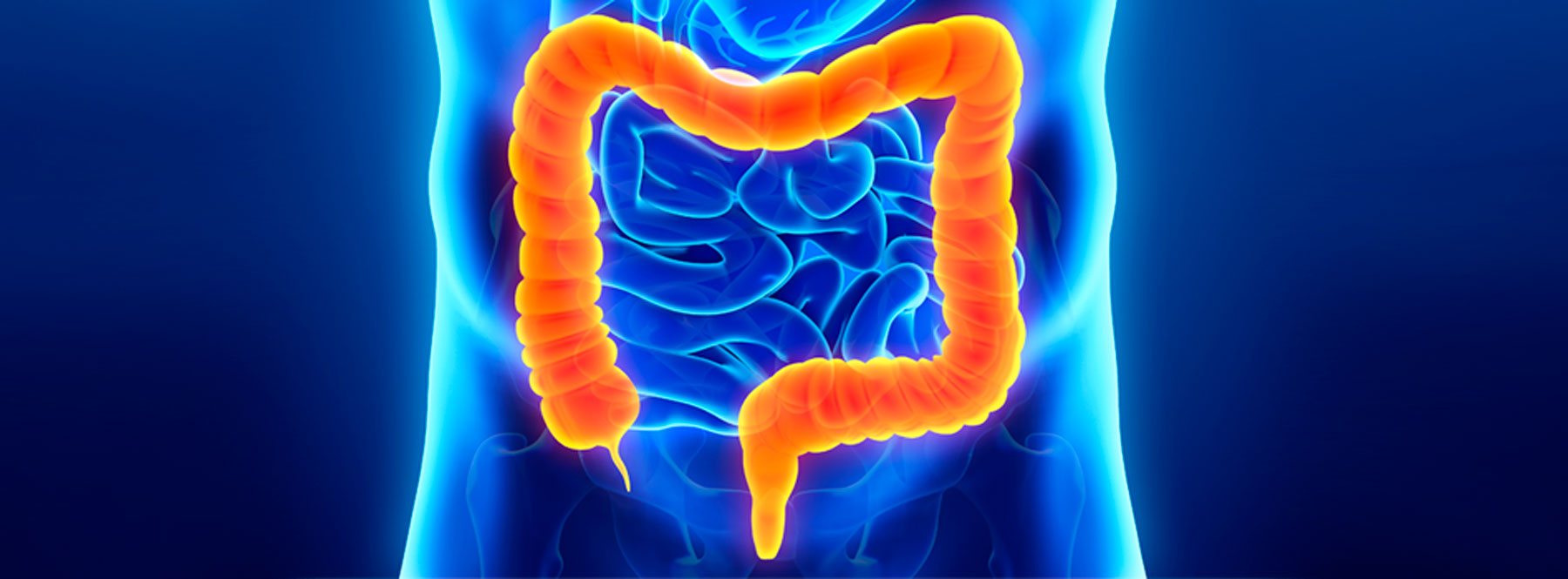 Cirugía y Coloproctología
